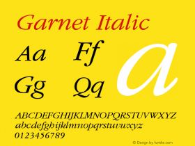 Garnet Italic Altsys Metamorphosis:12/19/95图片样张