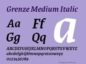 Grenze Medium Italic Version 1.002; ttfautohint (v1.8)图片样张