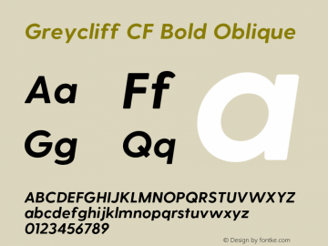 Greycliff CF Bold Oblique Version 1.900;PS 001.900;hotconv 1.0.88;makeotf.lib2.5.64775图片样张