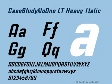 CaseStudyNoOne LT Heavy Italic Version 001.001图片样张