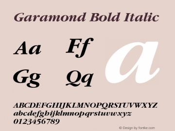 ITC Garamond Bold Italic Converter: Windows Type 1 Installer V1.0d.￿Font: V1.10图片样张