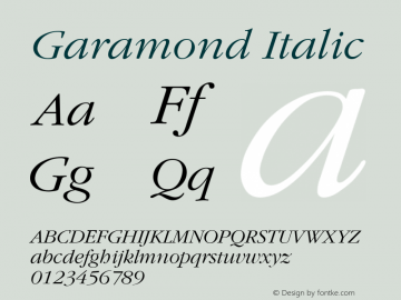 ITC Garamond Light Italic Converter: Windows Type 1 Installer V1.0d.￿Font: V1.10图片样张