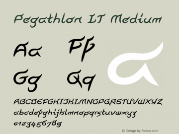 Pegathlon LT Medium Version 001.001图片样张