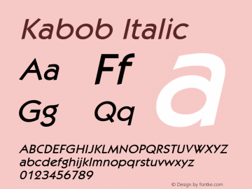 Kabob Italic Weatherly Systems, Inc.  6/10/95图片样张