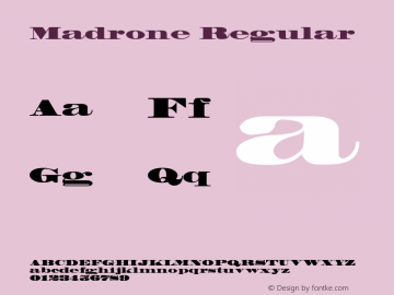 Madrone 001.001图片样张