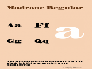 Madrone OTF 1.0;PS 001.001;Core 1.0.22图片样张