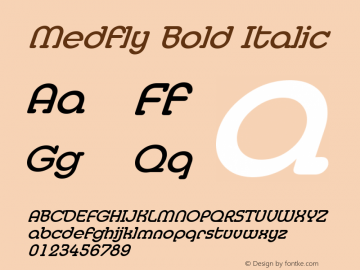 Medfly Bold Italic Weatherly Systems, Inc.  6/12/95图片样张