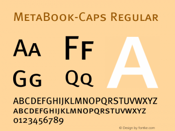 MetaBook-Caps 004.460图片样张