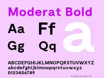 Moderat Bold Version 1.002;PS 001.002;hotconv 1.0.88;makeotf.lib2.5.64775图片样张