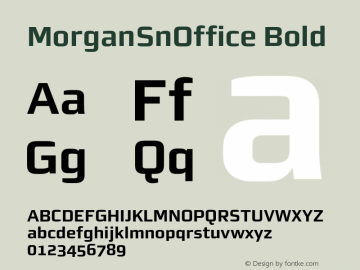 MorganSnOffice Bold Version 002.000图片样张