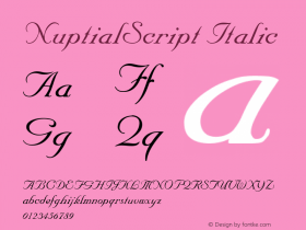 Nuptial Script Converter: Windows Type 1 Installer V1.0d.￿Font: V1.1图片样张