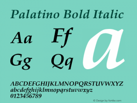Palatino Bold Italic 001.003图片样张