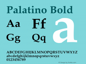 Palatino Bold 3.1.2b4图片样张