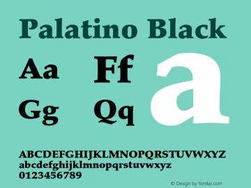 Palatino-Black OTF 1.0;PS 001.000;Core 1.0.22图片样张
