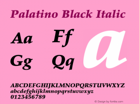 Palatino-BlackItalic OTF 1.0;PS 001.000;Core 1.0.22图片样张