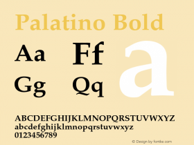 Palatino-Bold OTF 1.0;PS 003.000;Core 1.0.22图片样张