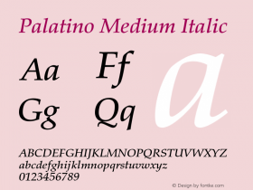 Palatino-MediumItalic OTF 1.0;PS 001.000;Core 1.0.22图片样张
