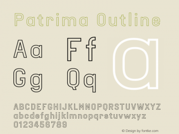 Patrima Outline Version 1.0 | wf-rip DC20180305图片样张