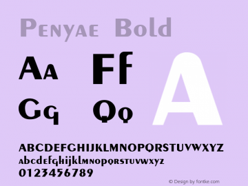 Penyae Bold Altsys Fontographer 3.5  12/20/95图片样张