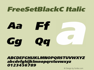 PT FreeSetBlack Bold Cyrillic Version 001.000图片样张