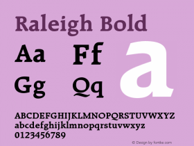 Raleigh-Bold OTF 1.0;PS 001.001;Core 1.0.22图片样张
