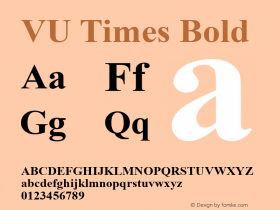 VU Times Bold Version 2.01 2003 Romanised Viet-Pali-Sanskrit图片样张