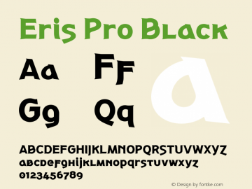 Eris Pro Black Version 1.000图片样张