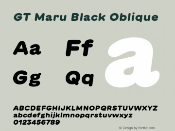 GT Maru Black Oblique Version 2.000;FEAKit 1.0图片样张