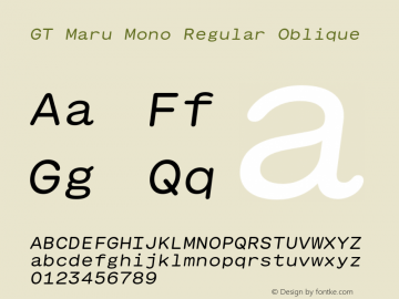 GT Maru Mono Regular Oblique Version 2.000;FEAKit 1.0图片样张