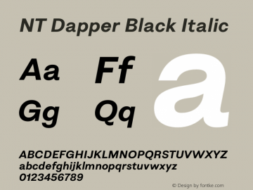 NT Dapper Black Italic Version 1.000图片样张
