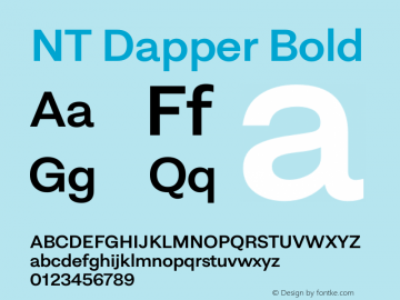 NT Dapper Bold Version 2.005图片样张