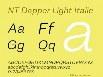 NT Dapper Light Italic Version 1.000图片样张