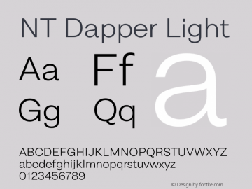 NT Dapper Light Version 2.005图片样张