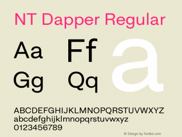 NT Dapper Regular Version 2.005图片样张