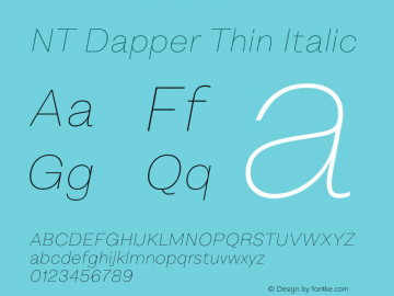 NT Dapper Thin Italic Version 1.000图片样张