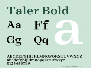 Taler Bold Version 1.000;FEAKit 1.0图片样张