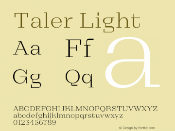 Taler Light Version 1.000;FEAKit 1.0图片样张