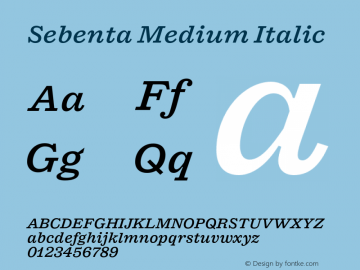 Sebenta Medium Italic Version 1.000;FEAKit 1.0图片样张