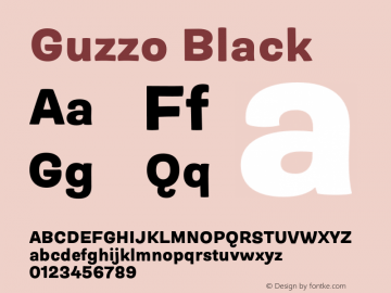 Guzzo-Black Version 1.00图片样张