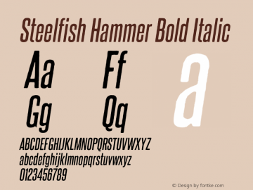 SteelfishHammerRg-BoldItalic Version 1.000图片样张