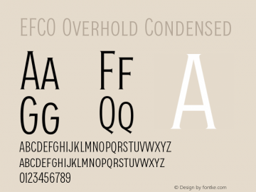 EFCO Overhold Condensed Version 1.000;FEAKit 1.0图片样张