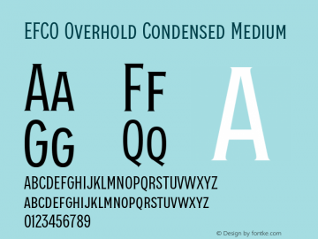 EFCO Overhold Condensed Medium Version 1.000;FEAKit 1.0图片样张