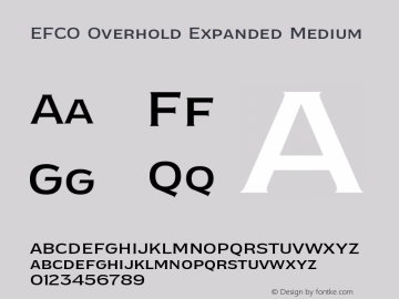 EFCO Overhold Expanded Medium Version 1.000;FEAKit 1.0图片样张
