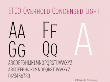 EFCO Overhold Condensed Light Version 1.000;FEAKit 1.0图片样张