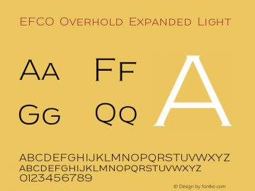 EFCO Overhold Expanded Light Version 1.000;FEAKit 1.0图片样张