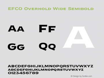EFCO Overhold Wide Semibold Version 1.000;FEAKit 1.0图片样张