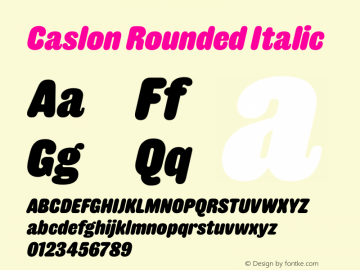 Caslon Rounded-Italic Version 1.001;hotconv 1.0.109;makeotfexe 2.5.65596图片样张