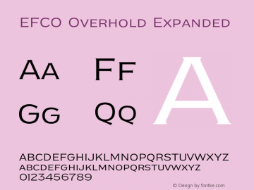 EFCO Overhold Expanded Version 1.000;FEAKit 1.0图片样张