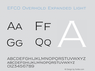 EFCO Overhold Expanded Light Version 1.000;FEAKit 1.0图片样张