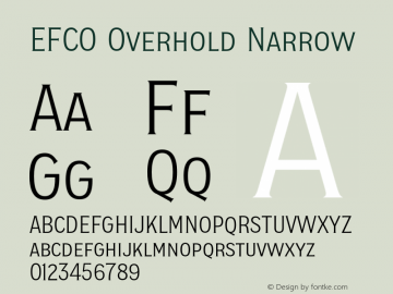 EFCO Overhold Narrow Version 1.000;FEAKit 1.0图片样张